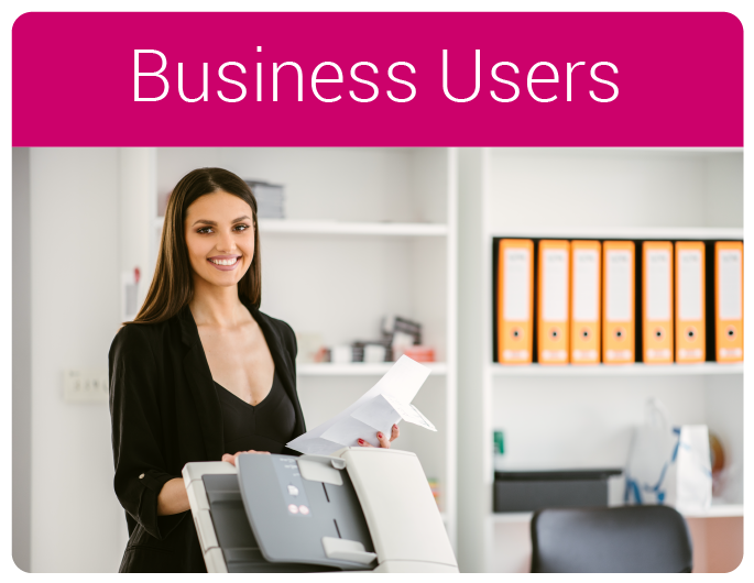 Business Users